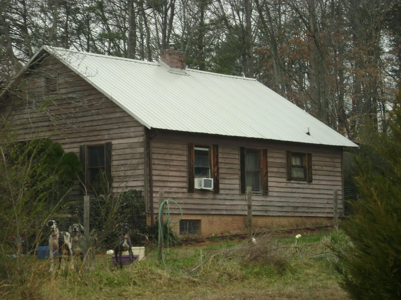 White metal roof on an old wood sided farmhouse, from a Metal Roof Installation job in Buena Vista